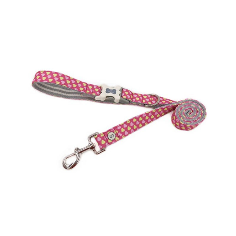 Imprimare Nylon Dog Obedience Recall Agility Training Plumb